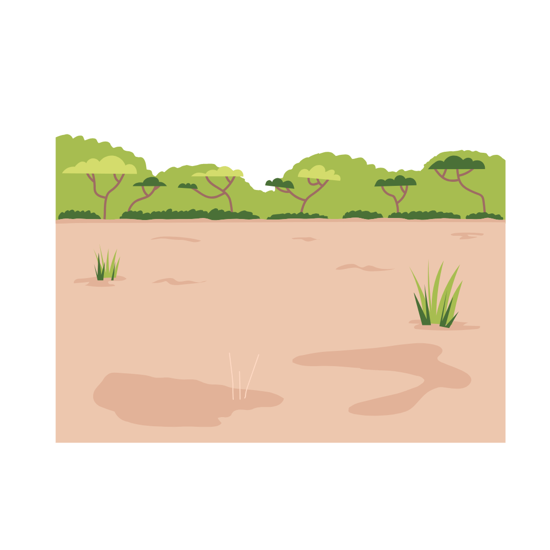 Ground Lease vs. Land Lease