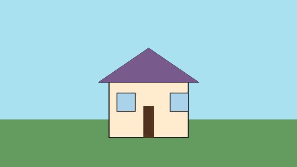 What Is the Best Carpet for Rental Property?